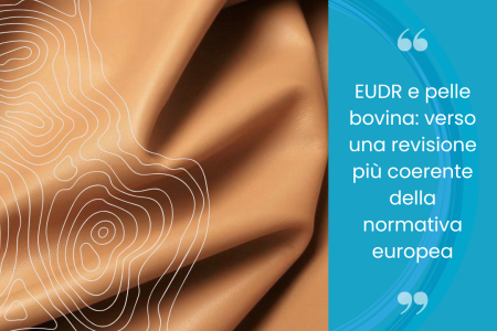 EUDR e pelle bovina: verso una revisione più coerente della normativa europea